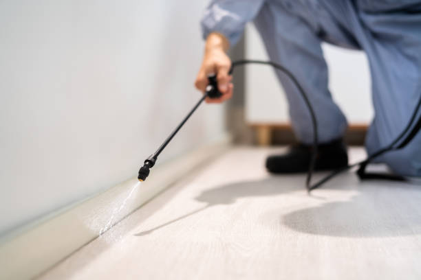 Licensed Mosquito Control service in Beaumont, TX - Show Me Pest Control