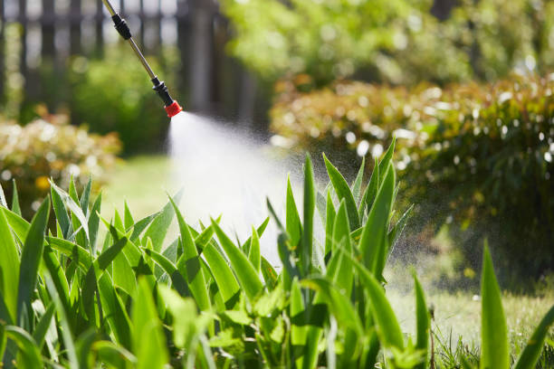 24/7 Emergency Mosquito Control experts in Beaumont, TX
