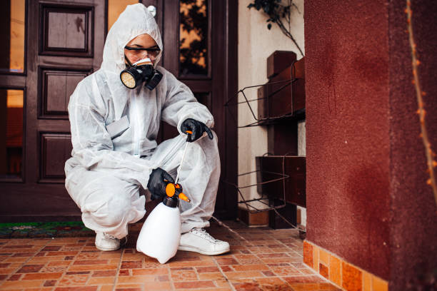 Reliable Mosquito Control contractor in Beaumont, TX by Show Me Pest Control